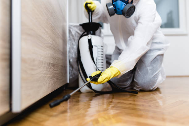 Best Pest Control Near Me in Saxonburg, PA