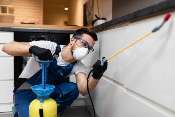 Best Best Pest Control Companies  in Saxonburg, PA