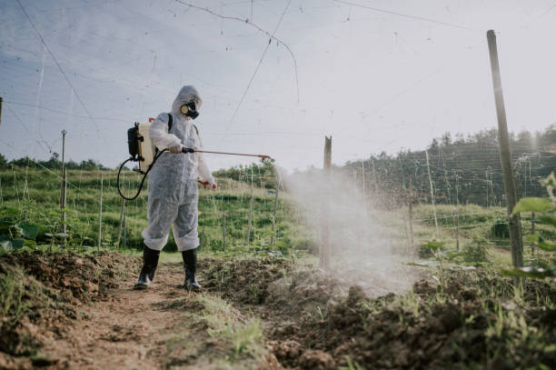 Best Ant Control Services  in Saxonburg, PA
