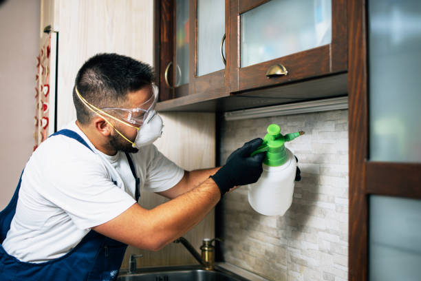 Best Pest Inspection Near Me  in Saxonburg, PA